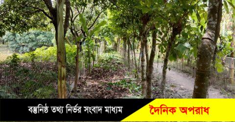 কুয়াকাটায় শিক্ষকের জমি জোরপূর্বক দখলের অভিযোগে মামলা ॥