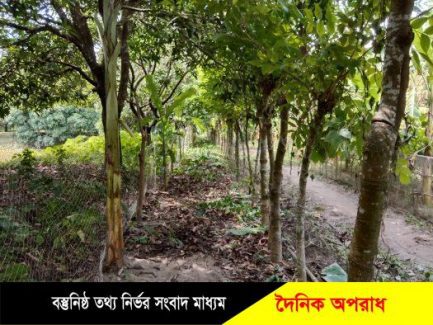 কুয়াকাটায় শিক্ষকের জমি জোরপূর্বক দখলের অভিযোগে মামলা ॥