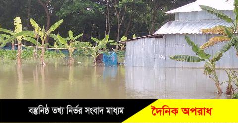 কলাপাড়ায় জোয়ারের পানি প্রবেশ করে বাঁধ ভেঙ্গে গ্রামের পর গ্রাম প্লাবিত ॥