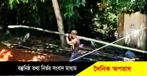 নবীগঞ্জের আজলপুরে একদল লাটিয়াল বাহিনীর কান্ড! দিনদুপুরে জোরপূর্বক  প্রবাসীর বাঁশ,গাছপালা কেটে জায়গা দখলের চেষ্টা