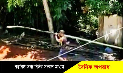 নবীগঞ্জের আজলপুরে একদল লাটিয়াল বাহিনীর কান্ড! দিনদুপুরে জোরপূর্বক  প্রবাসীর বাঁশ,গাছপালা কেটে জায়গা দখলের চেষ্টা