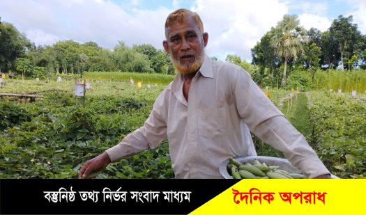 অবসরপ্রাপ্ত শিক্ষক মোঃ মোতাহার হোসেনের পটল চাষ