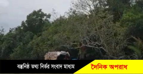 সুন্দরবনের পাশ/পারমিট দিলেও কাটেনি জেলেদের দুর্দশা