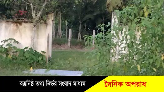 লালমোহনে আপন ভাইকে হত্যার হুমকি, আদালতে মামলা