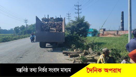 মহাসড়কের উভয় পাশে গাছ কাটার মহাৎসব চলছে। মহাসড়কটির দুই পাশের ২০ হাজারে বেশি গাছ কাটা পড়বে। এসব গাছ নামমাত্র মুল্যে হাতিয়ে নিচ্ছে ঠিকাদারী প্রতিষ্ঠান