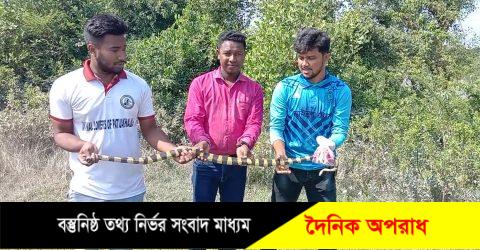 কলাপাড়ায় ৭ ফুট দৈর্ঘ্যরে বিষধর শঙ্খিনী সাপ অবমুক্ত করলো এনিমেল লাভারস ॥