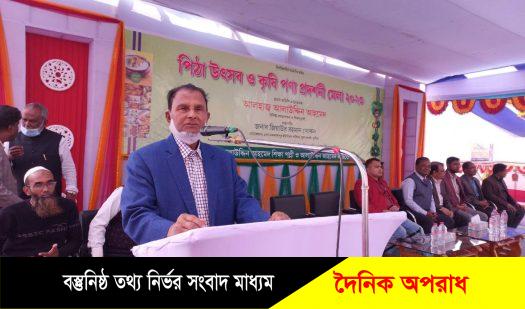 কুষ্টিয়ার আলাউদ্দিন নগর মুখরিত ছিল পিঠা উৎসব ও কৃষি মেলায়