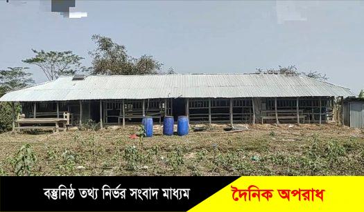 কলাপাড়ায় একটি বেসরকারী প্রাথমিক বিদ্যালয়ে শিক্ষার্থীদের পাঠদান বন্ধ করে অবাধে চলছে পোকা চাষ ॥