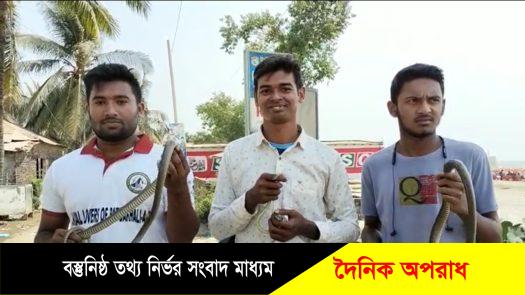 কুয়াকাটায় ঝাউবনের গভীর জঙ্গলে ৫টি পদ্ম গোখরা অবমুক্ত করেছে এনিমেল লাভারস ॥