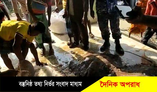 মহিপুরে ৫মন ওজনের ৭টি শাপলা পাতা মাছ জব্দ করেছে কোস্টগার্ড ॥