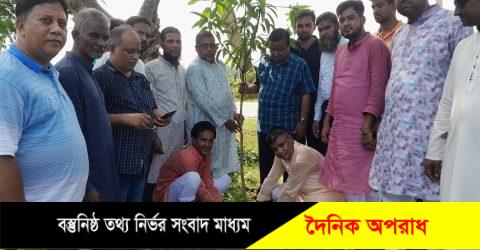 নন্দীগ্রাম উপজেলা কৃষক লীগের উদ্যোগে বৃক্ষরোপণ কর্মসূচি উদ্বোধন 