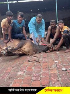 প্রধানমন্ত্রীর নামে এবারো কোরবানি দিলেন আওয়ামী লীগ নেতা রানা