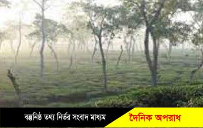 সিলেটে শীতের পূর্বাভাস