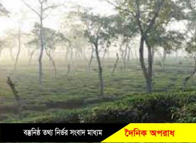 সিলেটে শীতের পূর্বাভাস