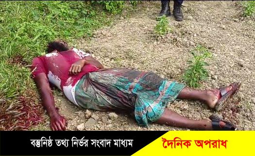 মহিপুরে বিয়ের ১দিন পর বর ওমর আলীর গলাকাটা লাশ মরিচক্ষেতে, মেহেদীর রং না শুকাইতেই রুকাইয়া বিধবা