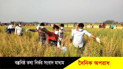 নন্দীগ্রামে সরিষা ক্ষেত থেকে অজ্ঞাত যুবকের অর্ধগলিত মরদেহ উদ্ধার